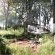 Londolozi Game Reserve