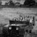 Londolozi Game Reserve