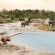 Londolozi Game Reserve