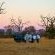 Londolozi Game Reserve