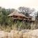 Londolozi Founders Camp