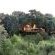 Londolozi Varty Camp