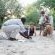 Londolozi Varty Camp