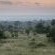 Londolozi Varty Camp