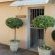 The Nandina Suite
