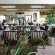 Londolozi Tree Camp