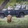 Londolozi Pioneer Camp