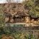 Tuningi Safari Lodge