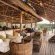 Nuarro Lodge