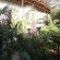 Forest Lodge