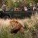 Tanda Tula Safari Camps