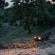 Tanda Tula Safari Camps