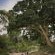 Tanda Tula Safari Camps