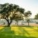 Singita - Castleton Camp