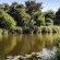Singita Sweni Lodge