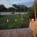 Ngala Tented Camp