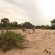 Ngala Tented Camp