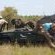 Ngala Private Game Reserve
