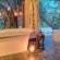 Ngala Private Game Reserve
