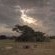 Phinda Vlei Lodge