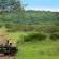 Phinda Mountain Lodge