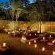 Phinda Forest Lodge