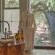 Phinda Forest Lodge