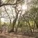 Phinda Forest Lodge