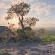 Phinda Rock Lodge