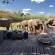 Phinda Homestead