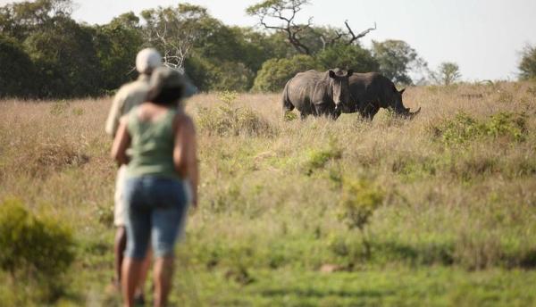 Phinda Game Reserve