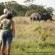 Phinda Game Reserve