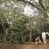 Phinda Game Reserve