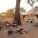 Savute Under Canvas