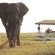 Chobe Under Canvas