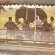 Chobe Under Canvas
