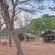 Chobe Under Canvas