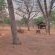 Chobe Under Canvas