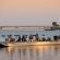 Chobe Under Canvas