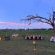 Nxabega Okavango Tented Camp
