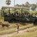 Nxabega Okavango Tented Camp
