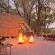 Sandibe Okavango Safari Lodge