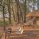 Sandibe Okavango Safari Lodge