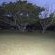 Umlalazi Nature Resort