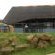 Kamberg - Drakensberg