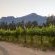 5 Mountains Lodge