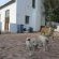 De Bos Guest Farm