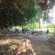 De Bos Guest Farm
