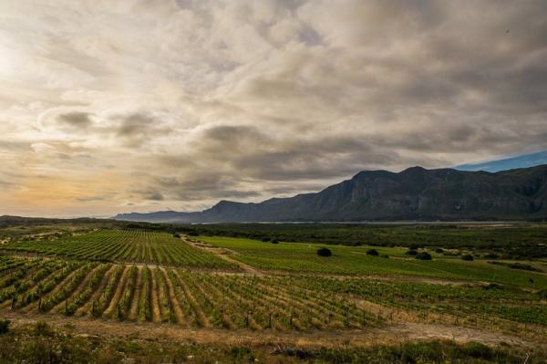 Springfontein Hospitality