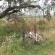 Mountain-biking paradise